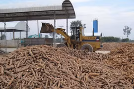 Laos’ agricultural exports expected to exceed 2 billion USD in 2023