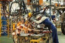 Supporting industry giants favour Vietnamese market