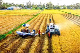Agricultural sector targets attracting 25 billion USD in FDI by 2030