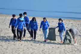 Da Nang optimise resources for environmental protection