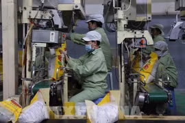 Vietnam Trade Office supports exports to EU