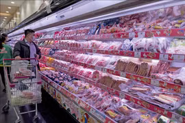 Hanoi’s consumer price index up 0.07% in November
