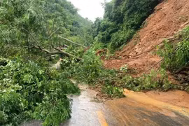 Int’l organisations continue early action support for Vietnam to reduce disaster risks