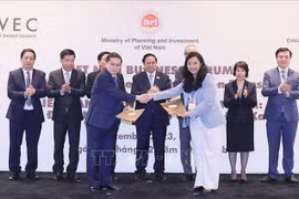 Vietnam business forum discusses mobilising resources for green transition