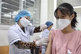 Health ministry asked to closely monitor domestic, int’l pandemic situation