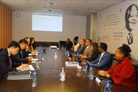 Vietnam, South Africa exchange local audit experience