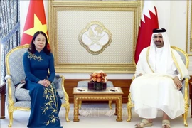 Vice President holds talks with Deputy Amir of State of Qatar
