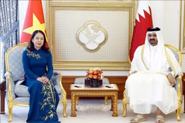 Vice President holds talks with Deputy Amir of State of Qatar