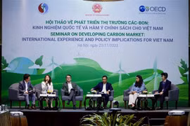 Experts share international experience in promoting carbon market in Vietnam