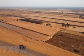 Deputy PM urges early handover of clean land for Long Thanh airport’s sub-projects