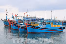 Deputy PM requires strict sanction of IUU fishing acts