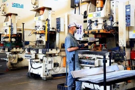 Domestic investors outpace foreign peers in southeastern region