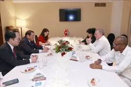 Vietnam, Cuba to bolster cultural, tourism ties
