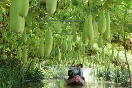 Agritourism to become integrated economic sector: Minister