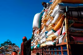 Indonesia to import 2 million tonnes of rice by year-end