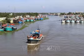 Deputy minister urges closely controlling entry, exit of fishing vessels