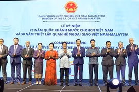 Ample room remains for Vietnam-Malaysia cooperation: ambassador