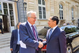 Vietnam attaches importance to comprehensive relations with France: FM