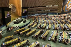 Vietnam emphasises global multilateral approaches to solving climate change issues