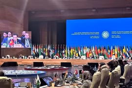 Vietnam attends Baku Summit of Non-Aligned Movement Contact Group in response to COVID-19