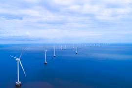 Ca Mau looks to the future with renewable energy projects