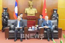 Vietnam shares experience in solving economic difficulties with Laos