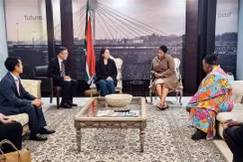 Vice State President pays official visit to South Africa