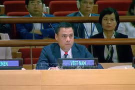 High Seas Treaty a new development milestone of int’l law: Vietnamese ambassador