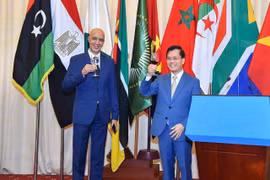 Vietnam treasures traditional ties with African countries: Official