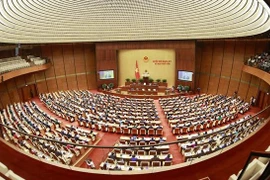 Pilot specific policies for HCM City, settlement of voters’ petitions under discussion