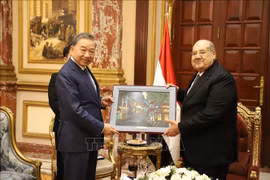 Communist Party of Vietnam delegation visits Egypt