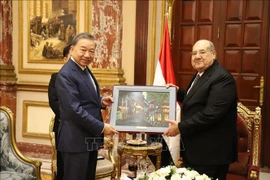 Communist Party of Vietnam delegation visits Egypt