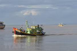 Binh Thuan province works to halt illegal fishing