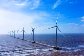Vietnam stays committed to developing clean and renewable energy
