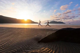 Measures sought to promote Vietnam’s medical tourism