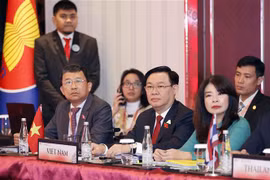 NA chairman attends AIPA Executive Commitee meeting