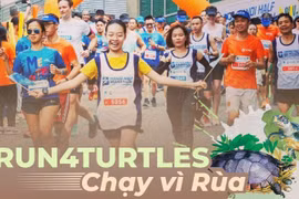 Running event slated for December to protect endangered turtles