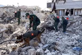 More earthquake victims found by Vietnamese rescue teams in Turkey