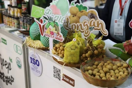 Food firms urged to study market demand carefully to expand int’l reach