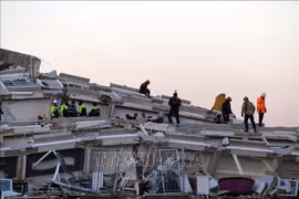 Committee extends sympathy to earthquake-affected Vietnamese in Turkey