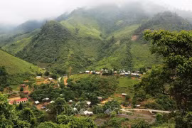 Quang Binh receives over 3.38 million USD from selling carbon credit