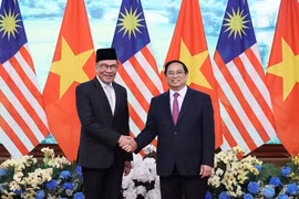 Vietnamese, Malaysian PMs delighted at development of bilateral relations