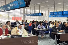 Vietnam suggests gender equality solutions at ASGP’s session