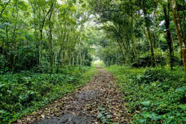Cuc Phuong honoured as leading Asia’s national park for fifth time