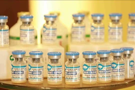 Philippines a promising importer of made-in-Vietnam African swine fever vaccines