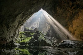 Son Doong cave adventure tour fully booked for 2024