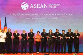 Vietnam determined to build modern, comprehensive, strong diplomatic sector: FM