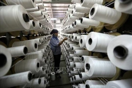 Vietnam becomes largest importer of RoK 