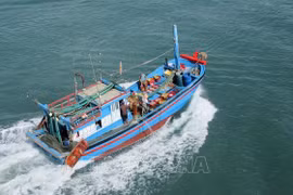 EC acknowledges Vietnam’s efforts in IUU combat: ministry