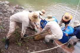 Three war-time bombs deactivated in Quang Binh province